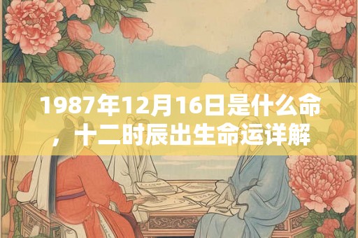 1987年12月16日是什么命，十二时辰出生命运详解