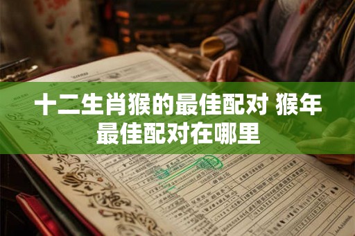十二生肖猴的最佳配对 猴年最佳配对在哪里 十二生肖猴的最佳配对 猴年最佳配对在哪里
