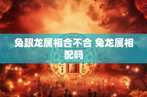 兔跟龙属相合不合 兔龙属相配吗 兔跟龙属相合不合 兔龙属相配吗