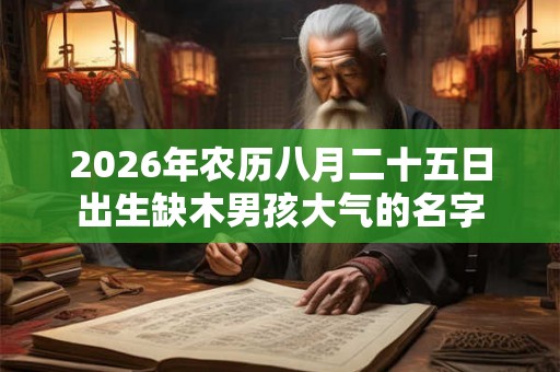 2026年农历八月二十五日出生缺木男孩大气的名字