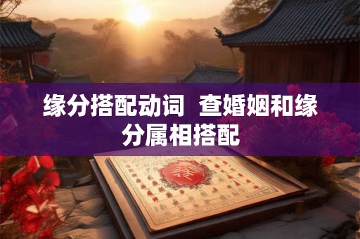 缘分搭配动词  查婚姻和缘分属相搭配