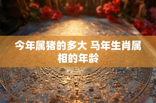 今年属猪的多大 马年生肖属相的年龄