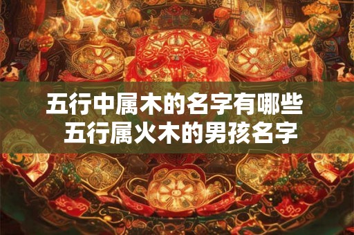 五行中属木的名字有哪些  五行属火木的男孩名字