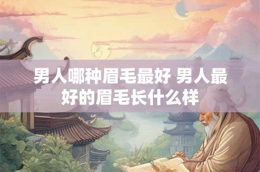 男人哪种眉毛最好 男人最好的眉毛长什么样