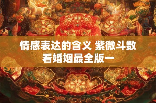 情感表达的含义 紫微斗数看婚姻最全版一