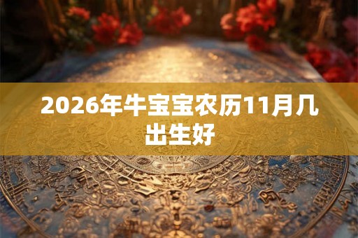 2026年牛宝宝农历11月几出生好