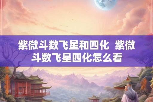 紫微斗数飞星和四化  紫微斗数飞星四化怎么看