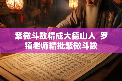 紫微斗数精成大德山人  罗镇老师精批紫微斗数