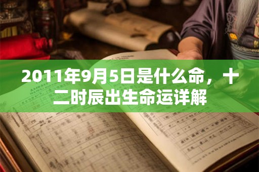 2011年9月5日是什么命，十二时辰出生命运详解