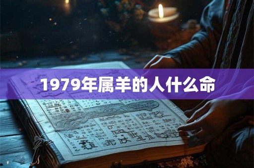 1979年属羊的人什么命 1979年属羊的人什么命
