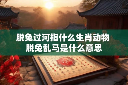 脱兔过河指什么生肖动物 脱兔乱马是什么意思