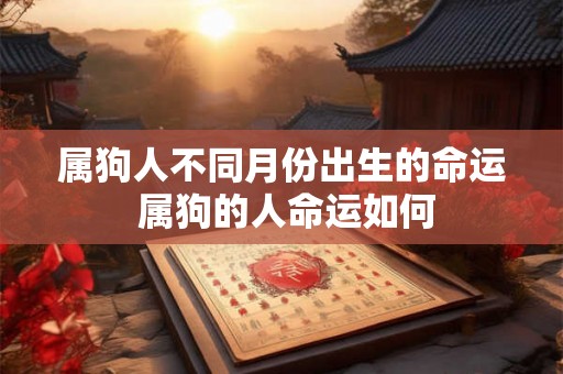 属狗人不同月份出生的命运 属狗的人命运如何 属狗人不同月份出生的命运 属狗的人命运如何