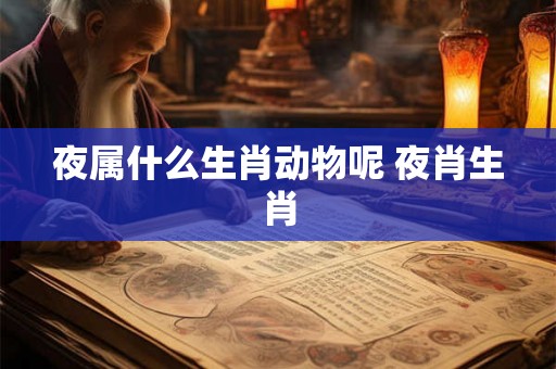 夜属什么生肖动物呢 夜肖生肖
