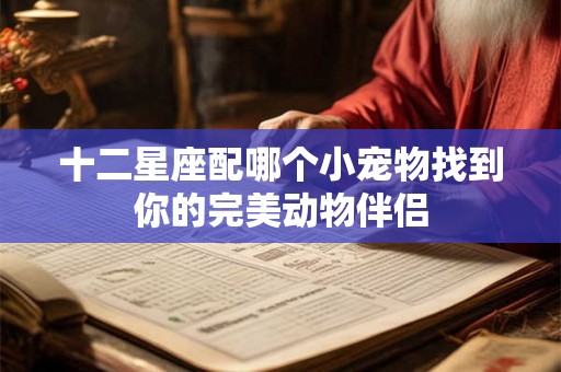 十二星座配哪个小宠物找到你的完美动物伴侣