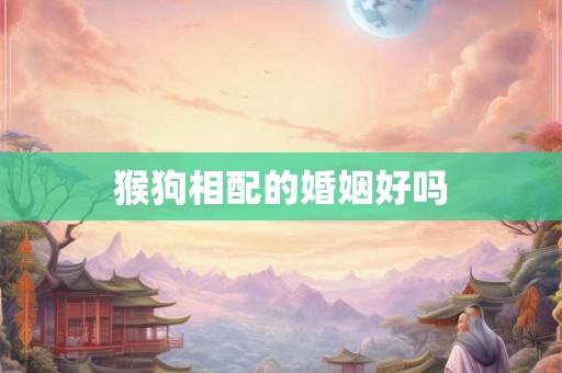 猴狗相配的婚姻好吗
