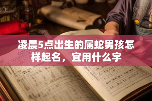 凌晨5点出生的属蛇男孩怎样起名，宜用什么字