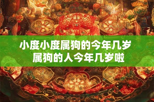小度小度属狗的今年几岁  属狗的人今年几岁啦