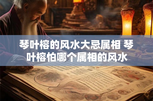 琴叶榕的风水大忌属相 琴叶榕怕哪个属相的风水