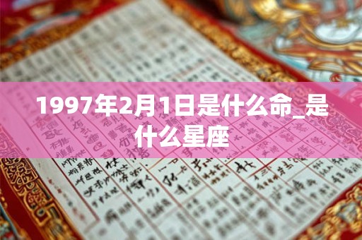 1997年2月1日是什么命_是什么星座
