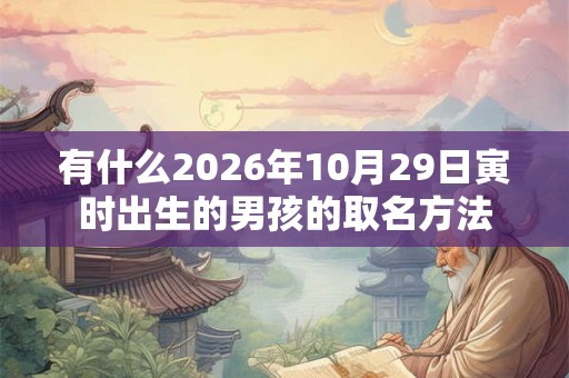 有什么2026年10月29日寅时出生的男孩的取名方法