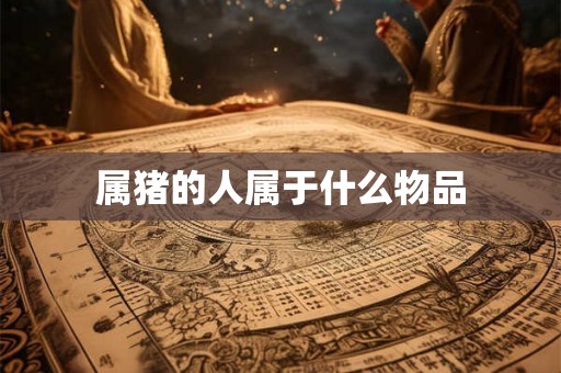 属猪的人属于什么物品