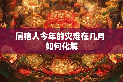 属猪人今年的灾难在几月 如何化解