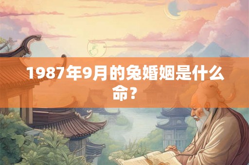 1987年9月的兔婚姻是什么命? 1987年9月的兔婚姻是什么命?