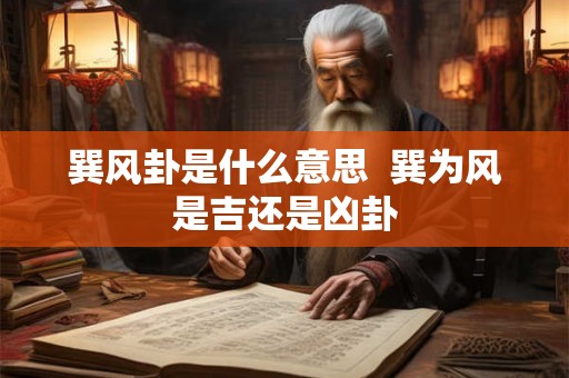 巽风卦是什么意思  巽为风是吉还是凶卦