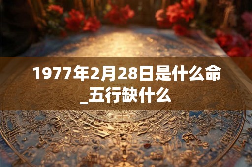 1977年2月28日是什么命_五行缺什么