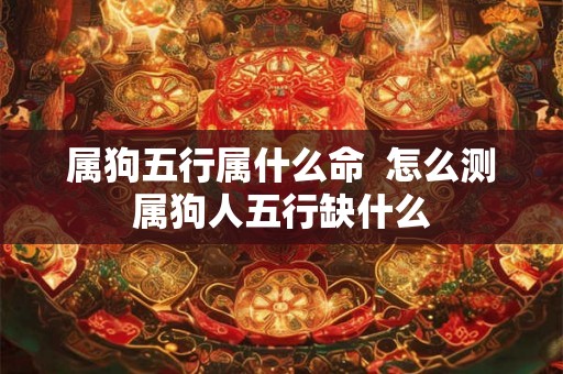 属狗五行属什么命  怎么测属狗人五行缺什么