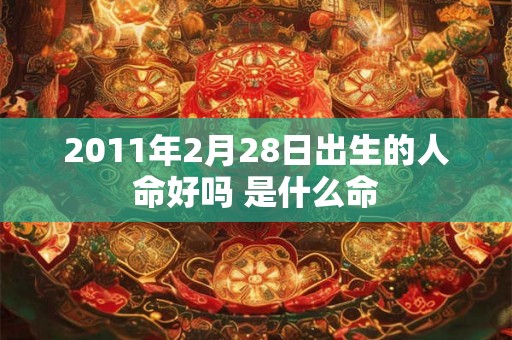 2011年2月28日出生的人命好吗 是什么命