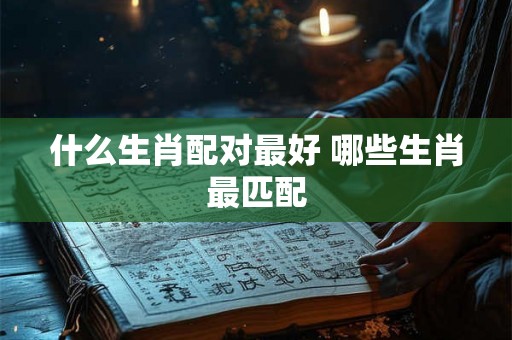 什么生肖配对最好 哪些生肖最匹配