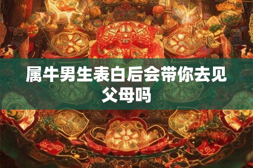 属牛男生表白后会带你去见父母吗