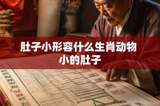 肚子小形容什么生肖动物 小的肚子 肚子小形容什么生肖动物 小的肚子