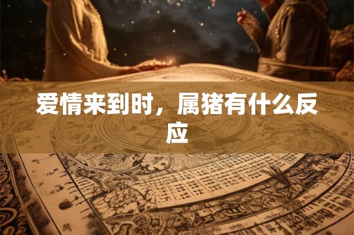 爱情来到时，属猪有什么反应