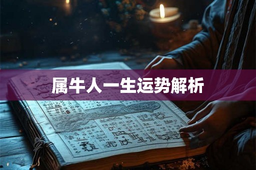 属牛人一生运势解析