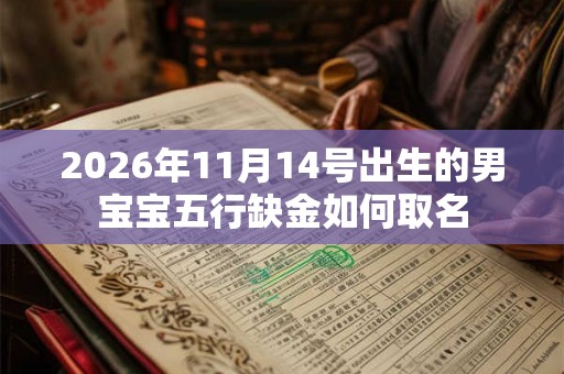 2026年11月14号出生的男宝宝五行缺金如何取名