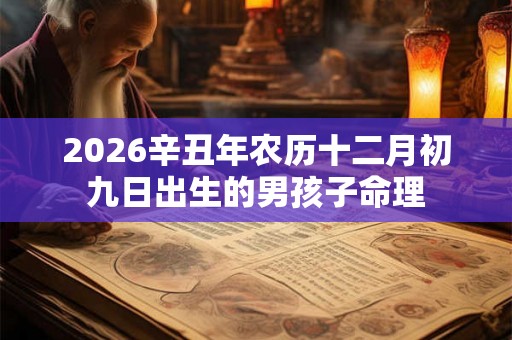 2026辛丑年农历十二月初九日出生的男孩子命理 2026辛丑年农历十二月初九日出生的男孩子命理