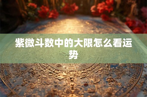 紫微斗数中的大限怎么看运势