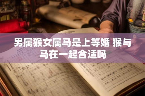 男属猴女属马是上等婚 猴与马在一起合适吗