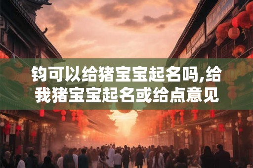 钧可以给猪宝宝起名吗,给我猪宝宝起名或给点意见