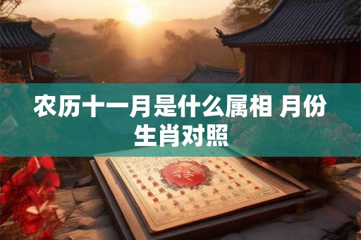 农历十一月是什么属相 月份生肖对照