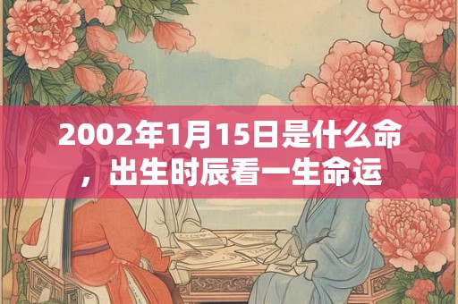 2002年1月15日是什么命，出生时辰看一生命运