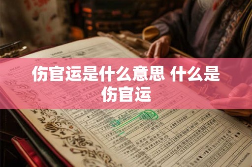 伤官运是什么意思 什么是伤官运 伤官运是什么意思 什么是伤官运