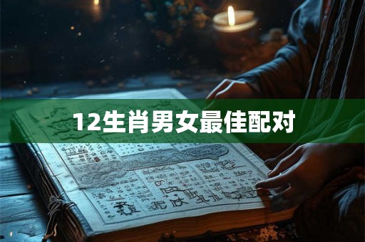 12生肖男女最佳配对 12生肖男女最佳配对