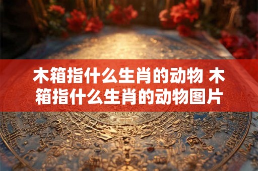 木箱指什么生肖的动物 木箱指什么生肖的动物图片 木箱指什么生肖的动物 木箱指什么生肖的动物图片