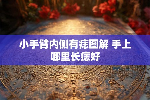 小手臂内侧有痣图解 手上哪里长痣好