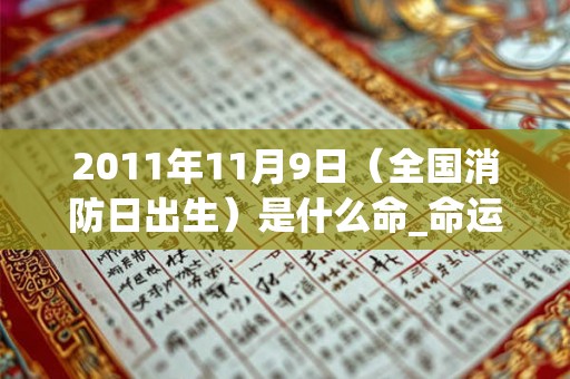 2011年11月9日（全国消防日出生）是什么命_命运如何