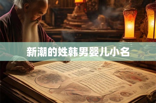 新潮的姓韩男婴儿小名
