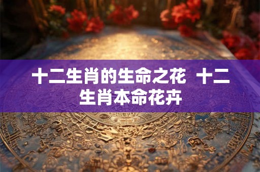 十二生肖的生命之花  十二生肖本命花卉